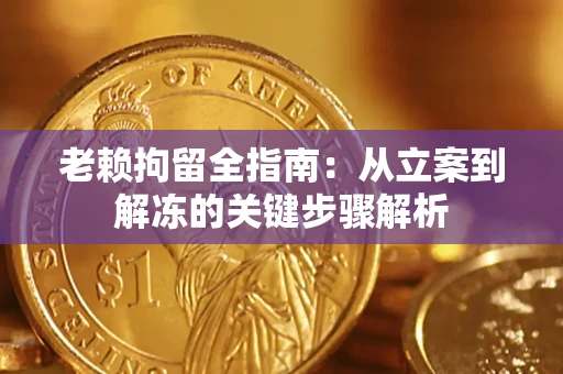 北京老赖拘留全指南：从立案到解冻的关键步骤解析