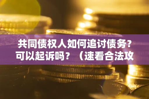 北京共同债权人如何追讨债务？可以起诉吗？（速看合法攻略）