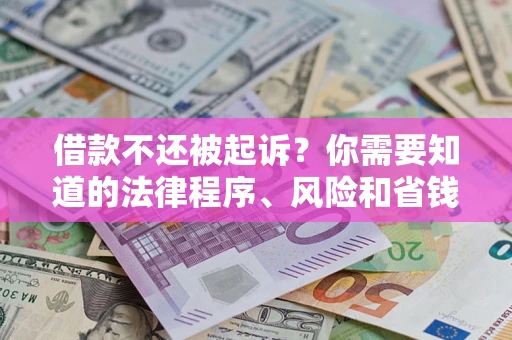 北京借款不还被起诉？你需要知道的法律程序、风险和省钱技巧