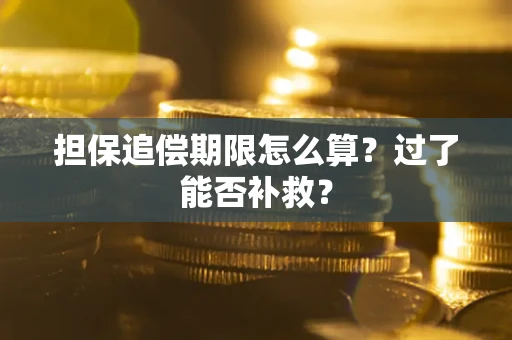 北京担保追偿期限怎么算？过了能否补救？